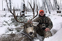 guided mule deer hunts wyoming, mule deer hunts, guided hunts wyoming, mule deer hunting