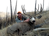 guided mule deer hunts wyoming, mule deer hunts, guided hunts wyoming, mule deer hunting