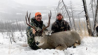 guided mule deer hunts wyoming, mule deer hunts, guided hunts wyoming, mule deer hunting