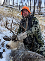 guided mule deer hunts wyoming, mule deer hunts, guided hunts wyoming, mule deer hunting