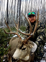 guided mule deer hunts wyoming, mule deer hunts, guided hunts wyoming, mule deer hunting