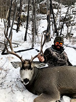 guided mule deer hunts wyoming, mule deer hunts, guided hunts wyoming, mule deer hunting